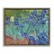 Stupell Industries Classic Van Gogh Irises Framed Floater Canvas Wall Art Design by one1000paintings